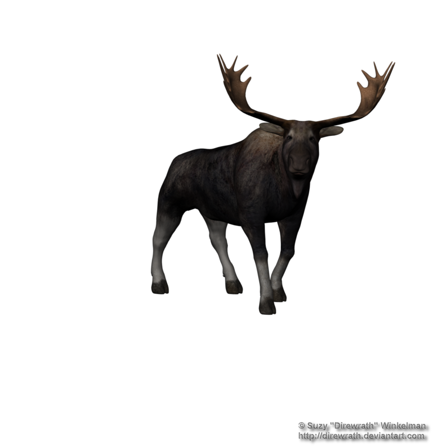 Moose Png Clipart (black)