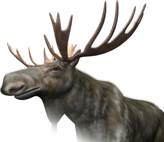 Moose Png Image (beige, silver, lavender, black, white)