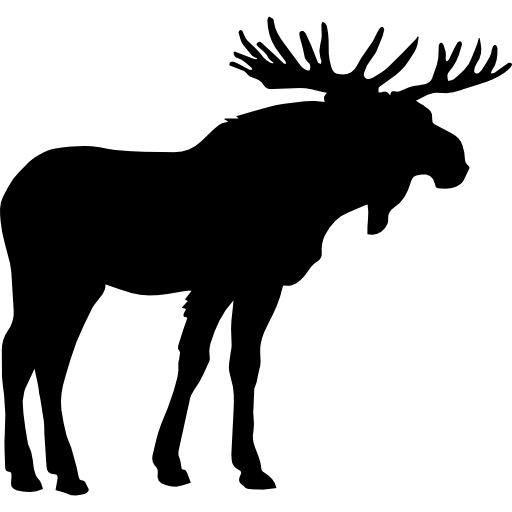 Moose Png Photos (white, lavender, black)