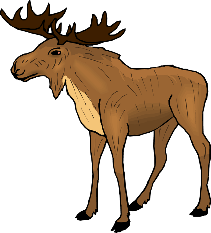 Moose Png Transparent Image (chocolate, olive, lavender, black, white)