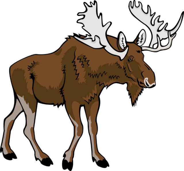 Moose Transparent Png (maroon, olive, lavender, black, white)