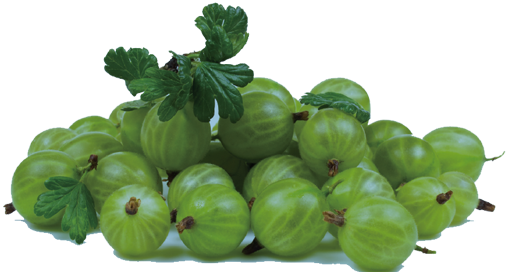 Gooseberry Png Isolated Pic (gray, silver)