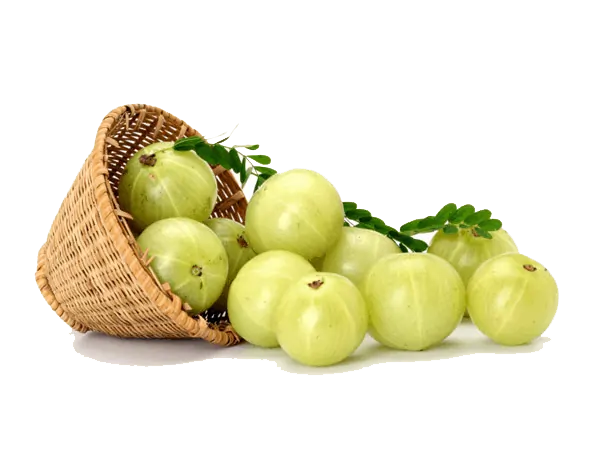 Gooseberry Png (beige)