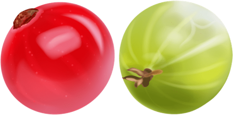 Gooseberry Transparent Png (salmon, olive, red, black, gold)