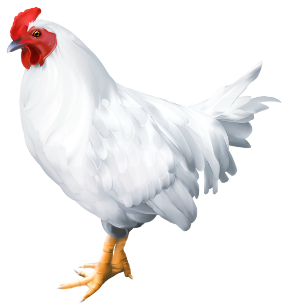 Rooster Png Image (black, white)