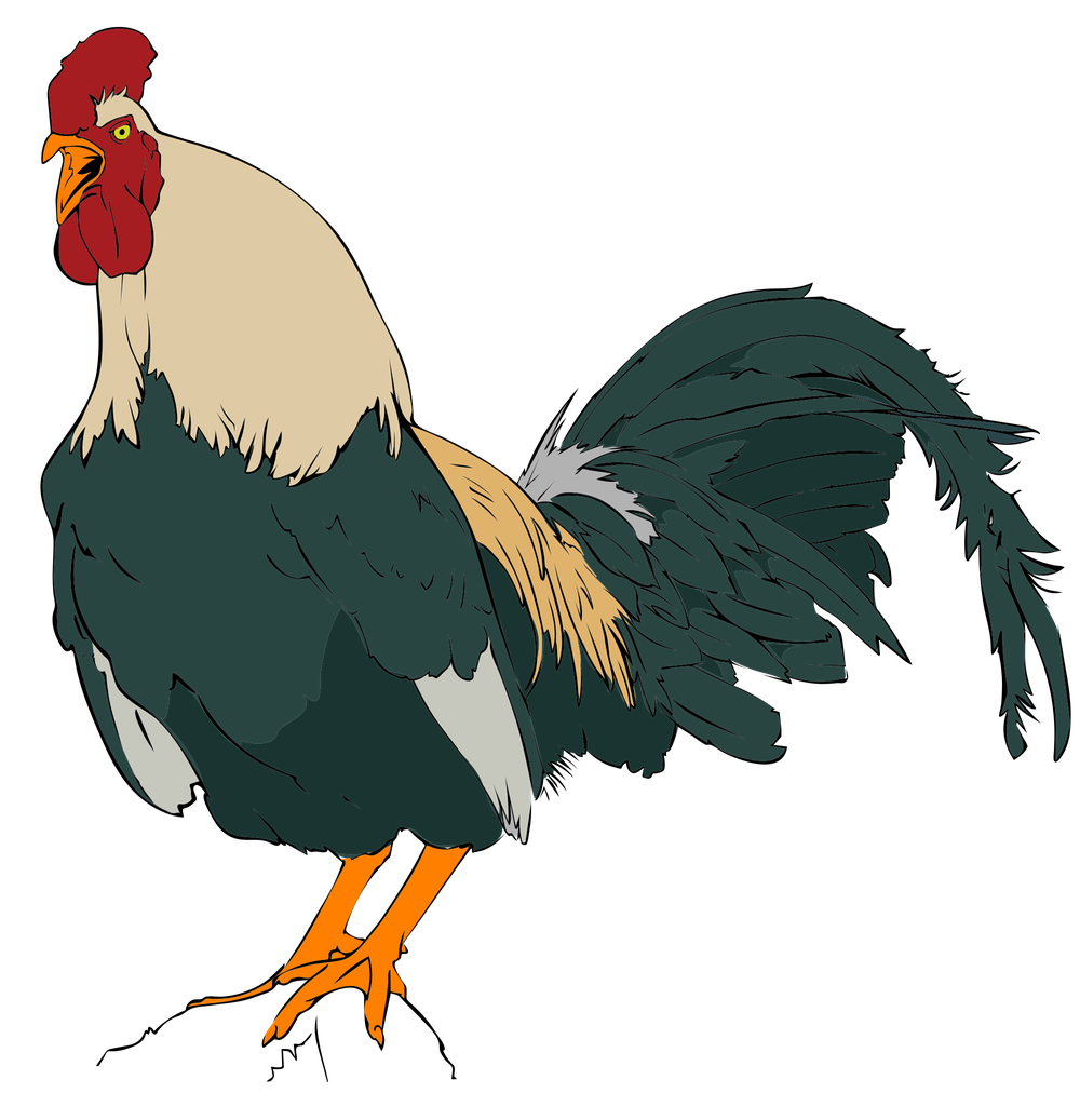 Rooster Png Transparent (silver, teal, green, black)