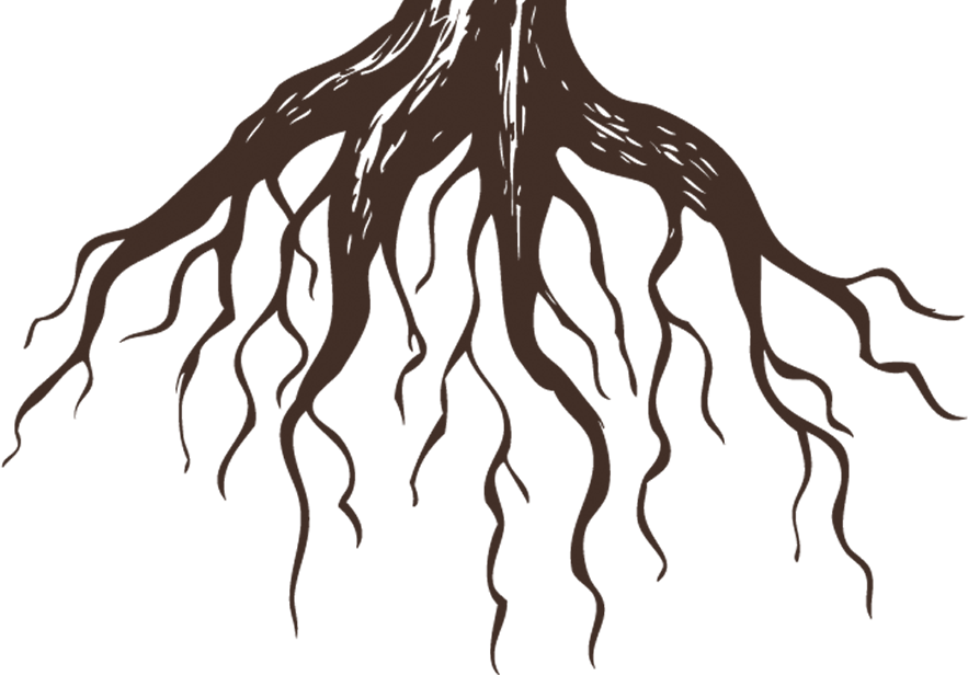 Root Png Free Download (maroon)