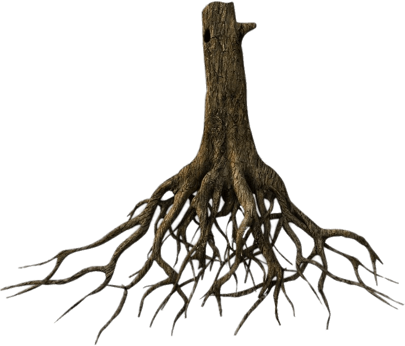 Root Png Hd Isolated (black)