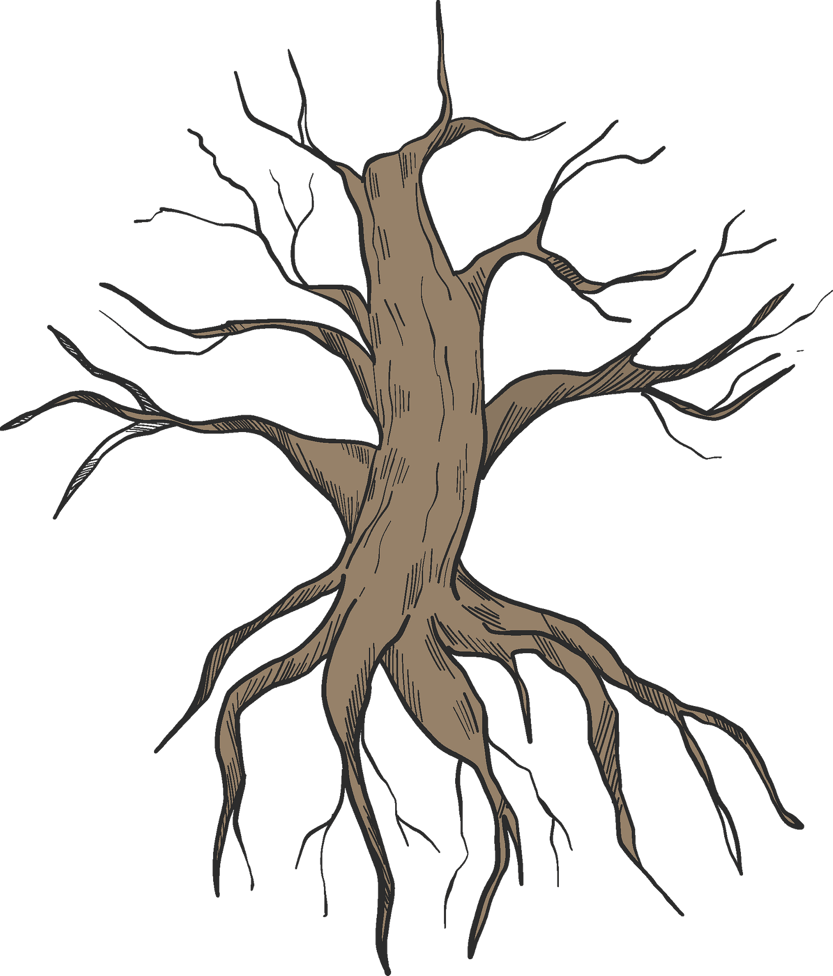 Root Png Isolated Photo (gray)