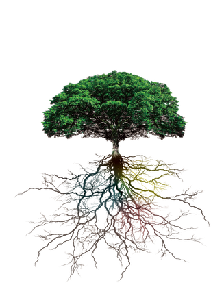 Root Png Isolated Picture (black)