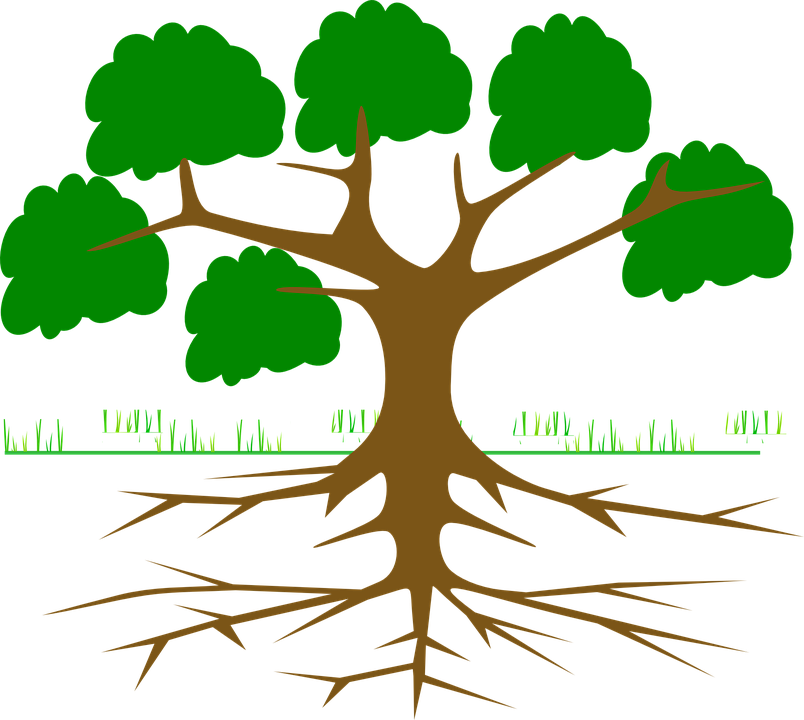 Root Png Picture (black, olive, green)