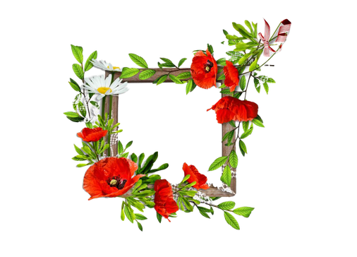 Poppy Flower Frame Png Clipart (black)