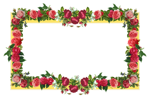 Poppy Flower Frame Png Hd (black, pink, gray, silver)