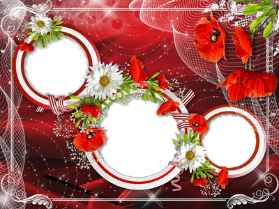 Poppy Flower Frame Png Image (black, maroon)