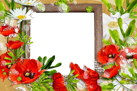 Poppy Flower Frame Png Photos (salmon, olive, silver, black, gray)
