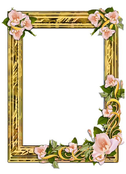 Poppy Flower Frame Png Transparent Image (black, gray)