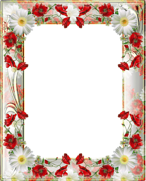 Poppy Flower Frame Transparent Background (silver, black, beige)