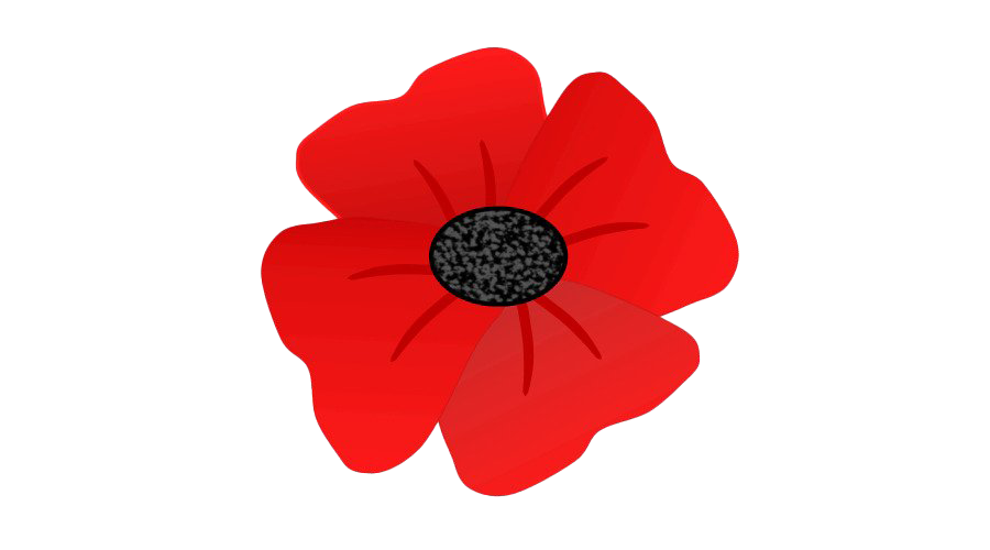 Poppy Png Isolated Hd Pictures (red, white)