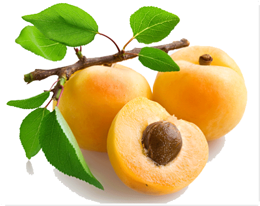 Loquat Png File (beige, lavender, orange, green, white)