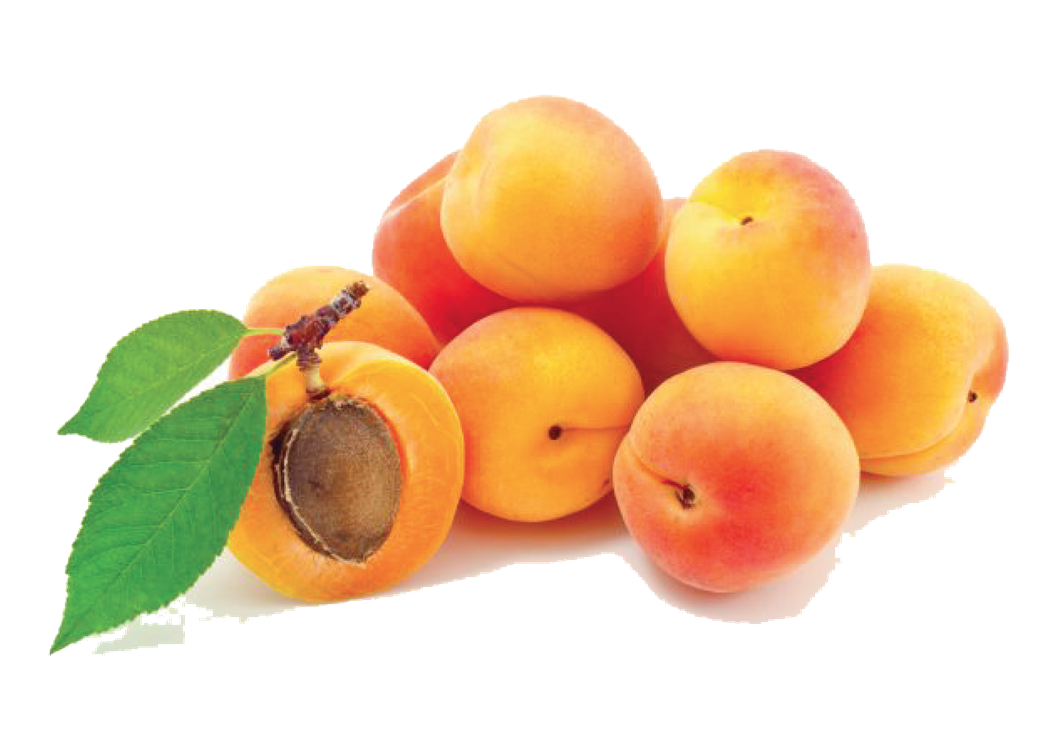 Loquat Png Hd (chocolate, black, orange)