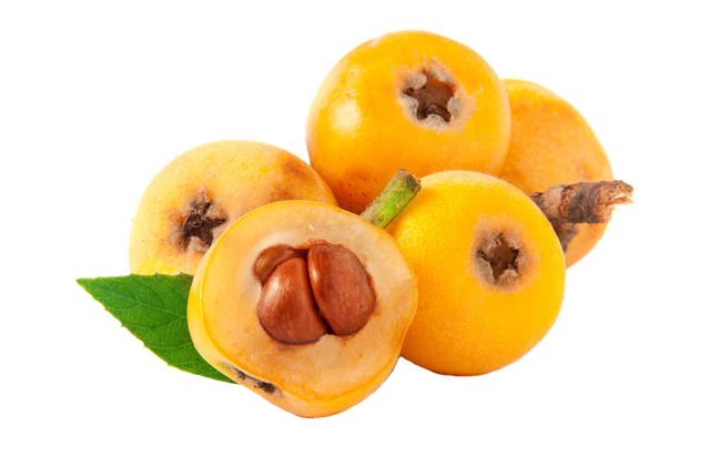 Loquat Png Isolated Image (black, orange, gold)