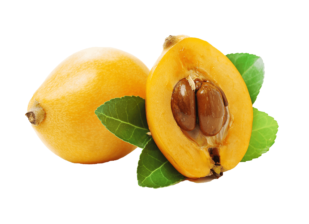 Loquat Png Isolated Pic (pink, black, orange)