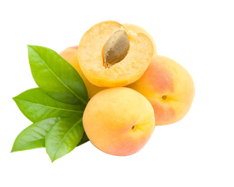 Loquat Png Photo (pink, black, salmon)