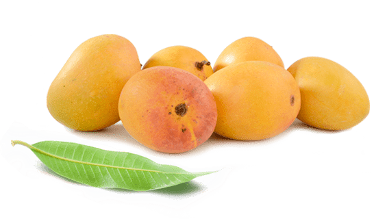 Loquat Png Picture (white, gray)