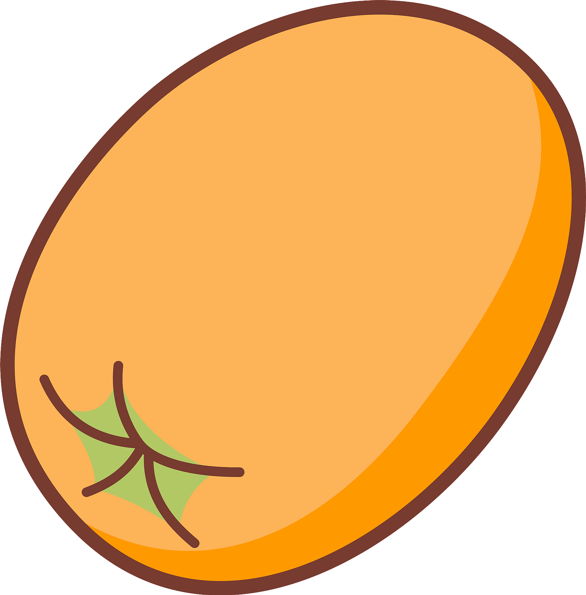 Loquat Png Transparent (gray, orange, salmon)