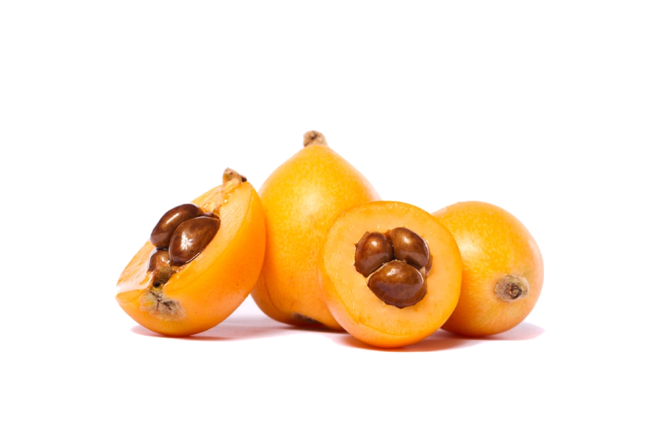 Loquat Png (black, orange)