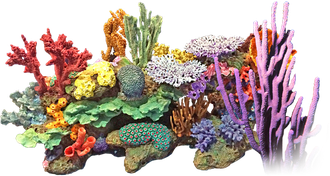 Coral Reef Png Clipart (black)