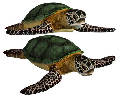 Coral Turtle Png Image (black)