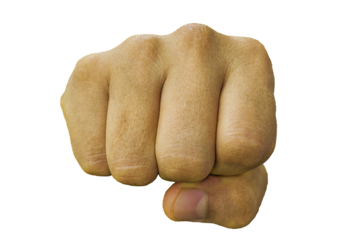 Force Hand Punch Png Image (salmon, black)