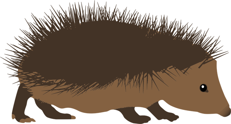 Porcupine Png Isolated File (gray, black, maroon)