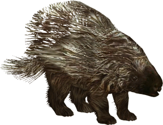 Porcupine Png Pic (black, maroon)