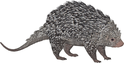 Porcupine Transparent Png (gray, black)