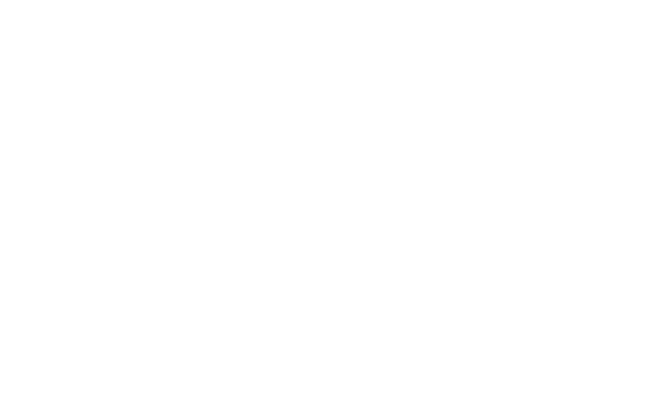 Ford Logo Png Hd (gray, white)