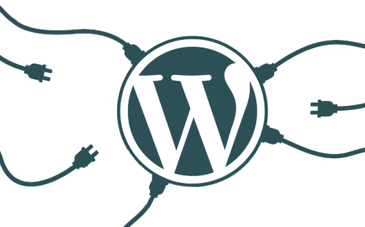 Wordpress Png Transparent Picture (teal, white)