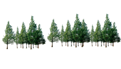 Forest Tree Png Pic (black)