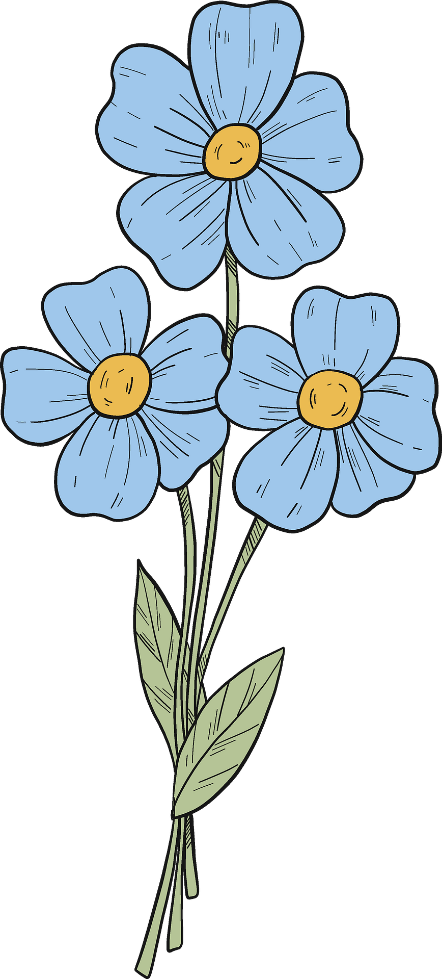 Forget Me Not Blue Png Image (gray, silver)