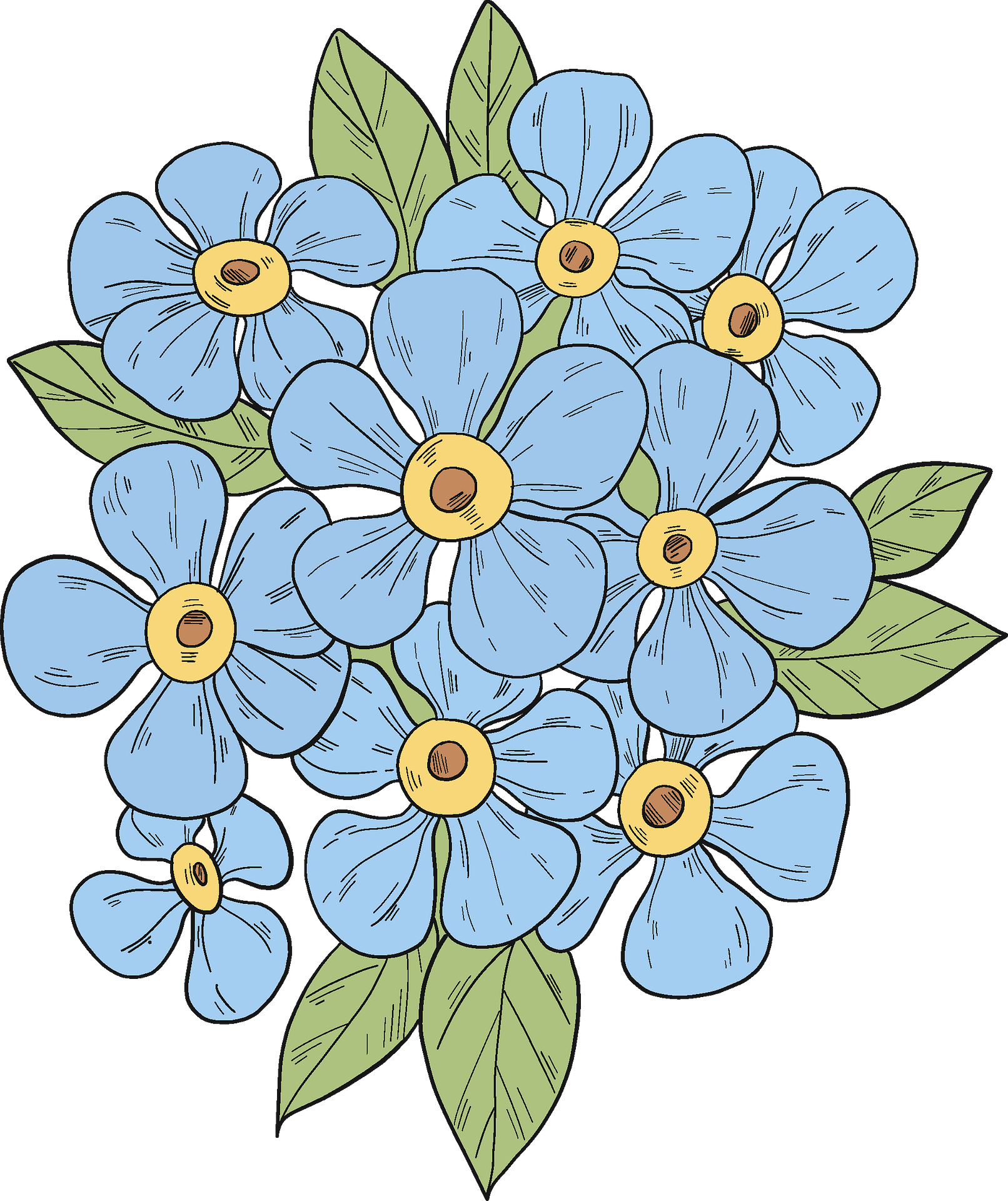 Forget Me Not Blue Png Photos (gray, silver)