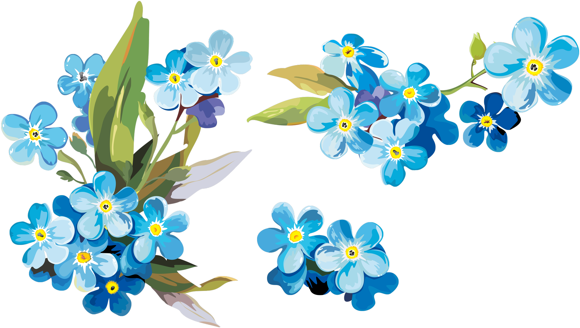 Forget Me Not Blue (black)