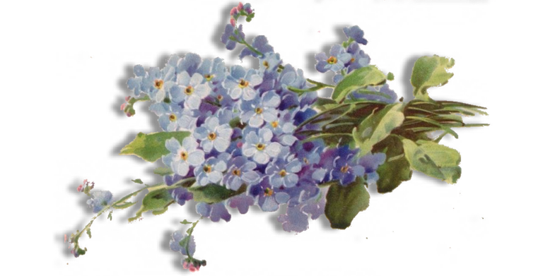 Forget Me Not Png Free Download (black)