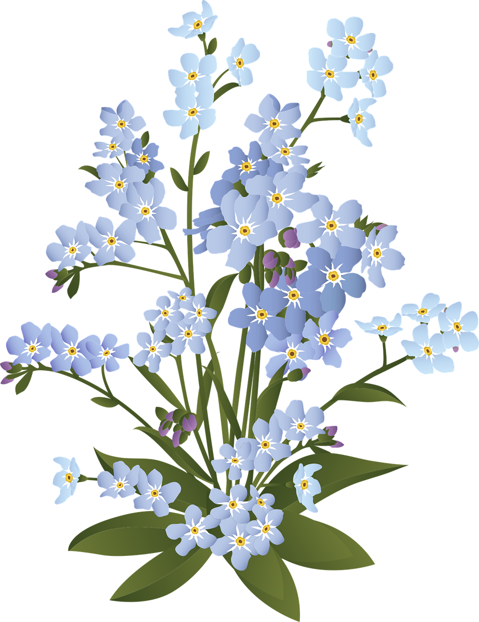 Forget Me Not Png Images (black, olive)