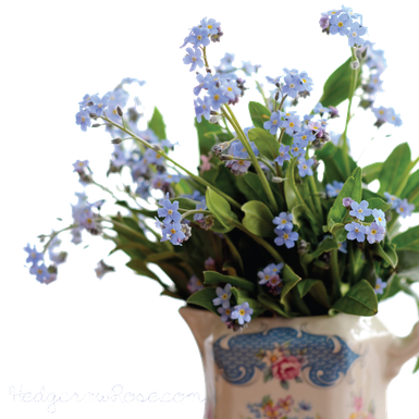 Forget Me Not Png Pic (black, white)