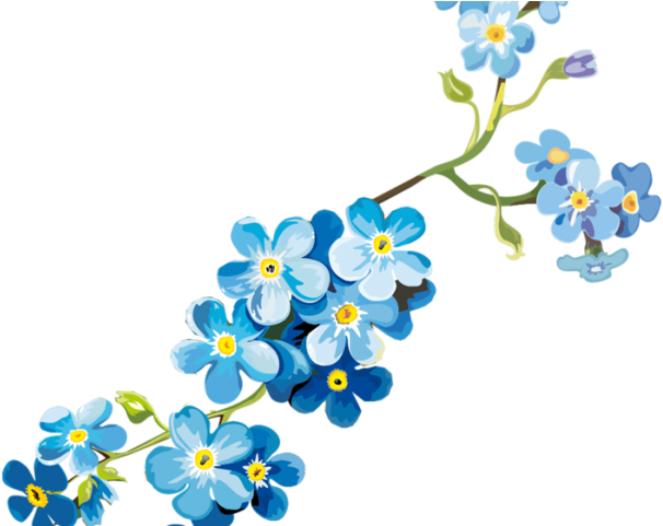 Forget Me Not Png Pic (teal, gray, black, lavender, silver)