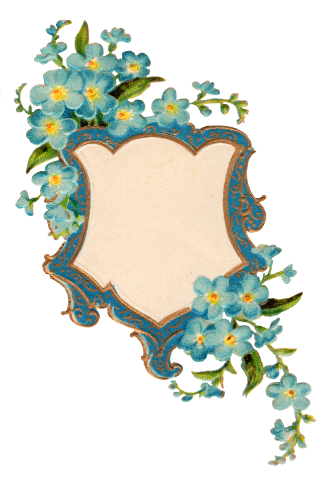 Forget Me Not Png Picture (black, beige)