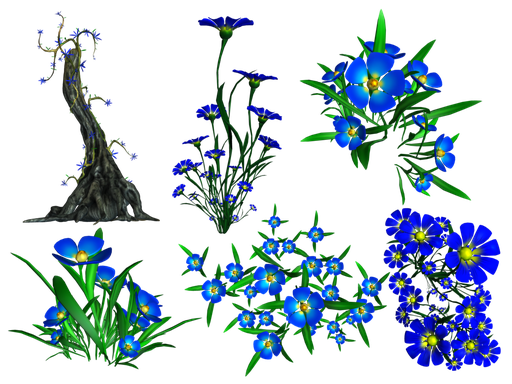 Forget Me Not Png Transparent Image (black)