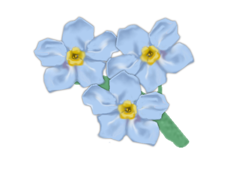 Forget Me Not Png Transparent Picture (black, silver)