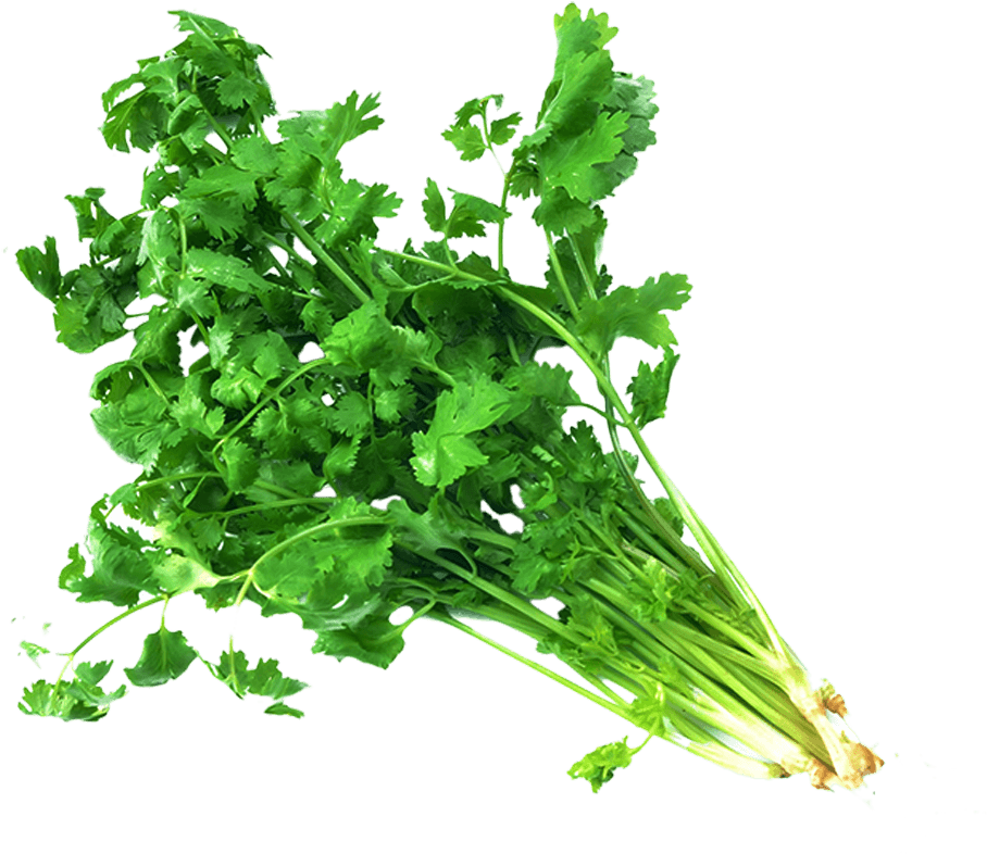 Coriander Png Free Download (black)